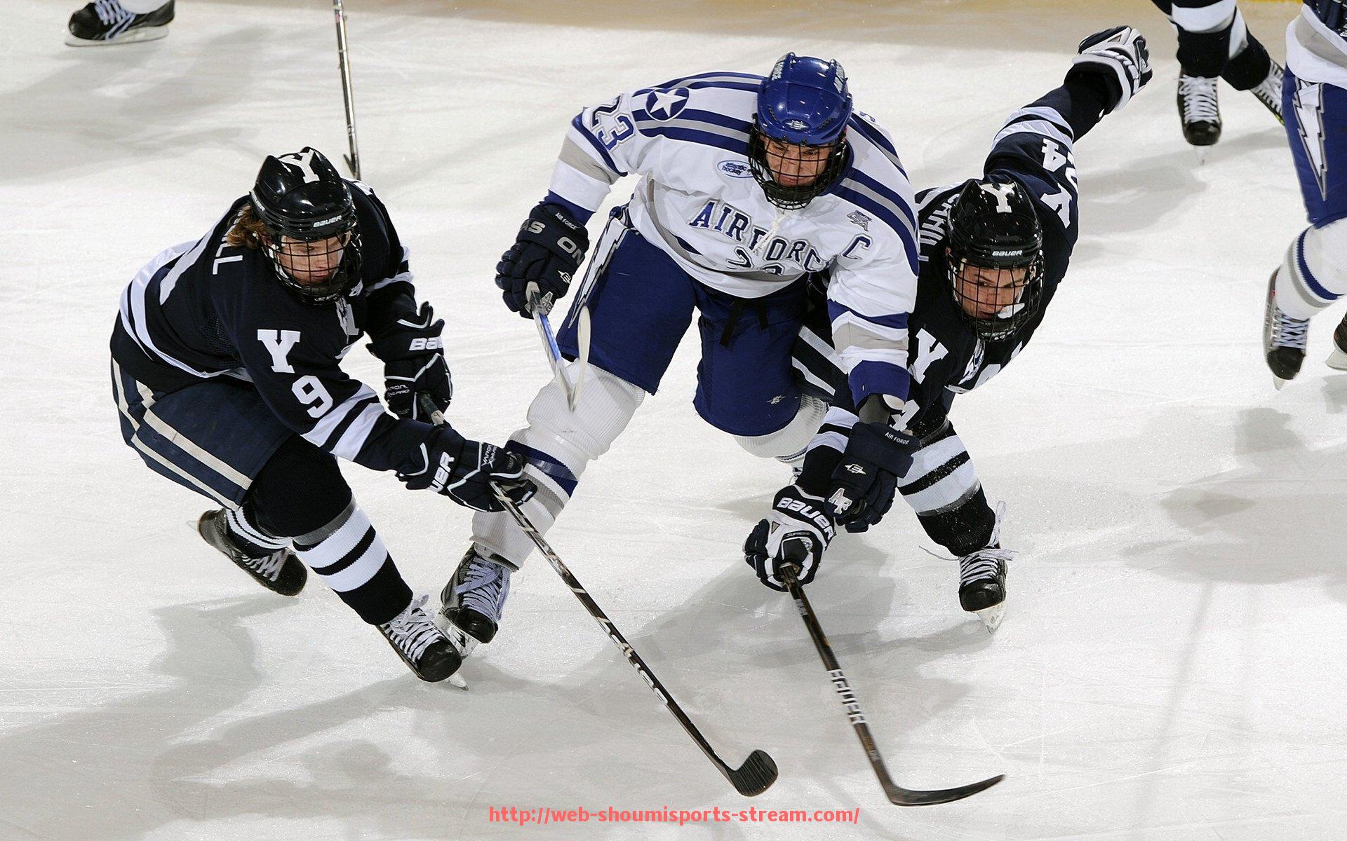 收米体育直播-世俱杯赛事志愿者岗位培训模块及测评标准制定方案